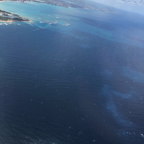 Meet your Posher, Kevin - Picture 1 of 1